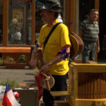 Michael Schaefer, Germania in concert, 2012
